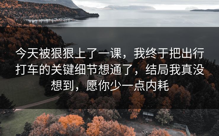今天被狠狠上了一课，我终于把出行打车的关键细节想通了，结局我真没想到，愿你少一点内耗
