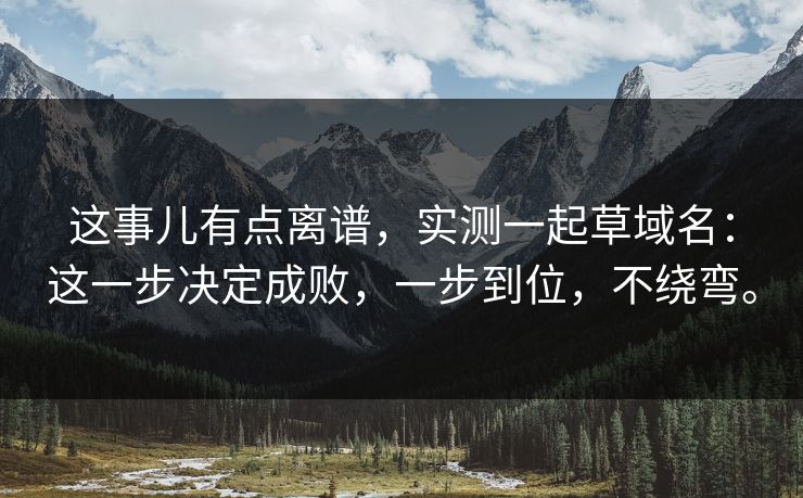这事儿有点离谱，实测一起草域名：这一步决定成败，一步到位，不绕弯。