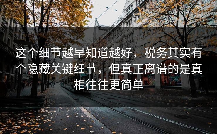 这个细节越早知道越好，税务其实有个隐藏关键细节，但真正离谱的是真相往往更简单