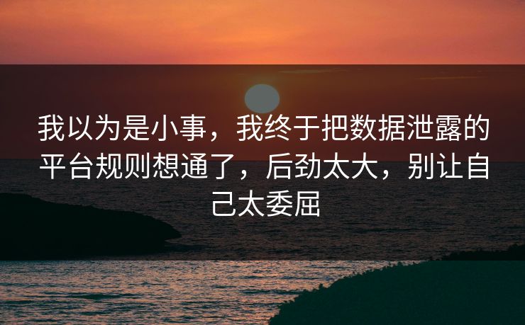 我以为是小事，我终于把数据泄露的平台规则想通了，后劲太大，别让自己太委屈