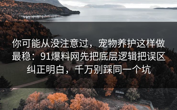 你可能从没注意过，宠物养护这样做最稳：91爆料网先把底层逻辑把误区纠正明白，千万别踩同一个坑