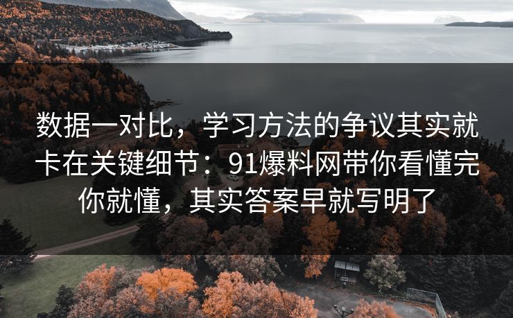 数据一对比,学习方法的争议其实就卡在关键细节:91爆料网带你看懂完你就懂,其实答案早就写明了 数据一对比,学习方法的争议其实就卡在关键细节:91爆料网带你看懂完你就懂,其实答案早就写明了